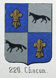 Medieval heraldry, Coat of arms, Shield with, Quartered, Gold, fleur de lis, blue, Black, wolf, silver, Spanish, Vintage illustration