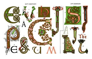 Western Script Gallery: Medieval Illuminated Letters