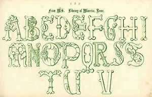 Images Dated 19th February 2011: Medieval Italian Style Alphabet