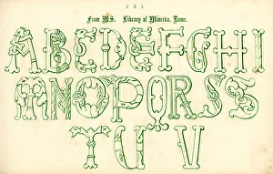 Images Dated 19th February 2011: Medieval Italian Style Alphabet