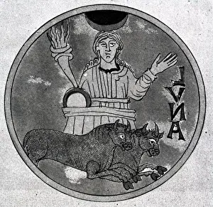 Bull Prints: Medieval Symbol Of The Moon; Bulls