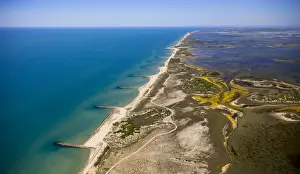 Mediterranean coast, brackish water area of ??the Etang de Melegal, Le Grau-du-Roi, Camargue, Languedoc-Roussillon, France