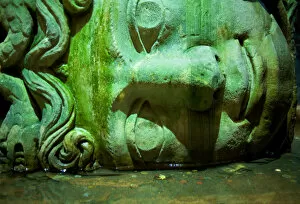 Images Dated 4th April 2011: Medusa Head