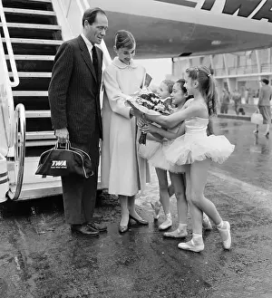 Gangway Prints: Mel Ferrer with Audrey Hepburn Receiving Bouquet of Flowers