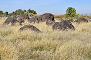 Images Dated 22nd October 2011: Melon Gravels, basalt boulders, Hagerman Wildlife Area, Hagerman, Idaho, USA