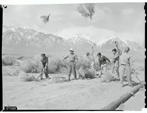 National Historic Site Prints: Men Clearing Out Land