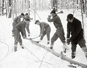 New Hampshire Prints: Men Cutting Woodlands