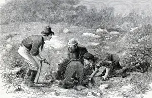 Digging Prints: Men Digging for Gold