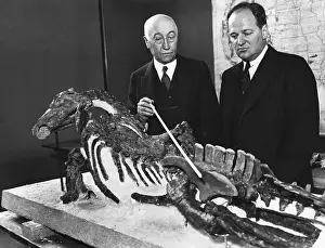 Rare Prints: Two Men With Dinosaur Skeleton, One Point