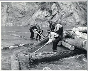 Idaho Prints: Men Drive Logs Down River In Idaho