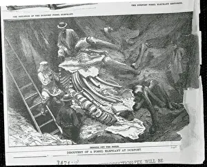 Paleontology Prints: Men Finding Elephant Fossil