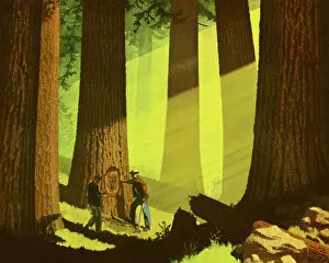 Images Dated 10th July 2014: Two Men in a Forest
