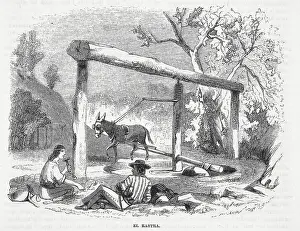Mule Prints: Men Gazing at Mule Driven Stone Crusher