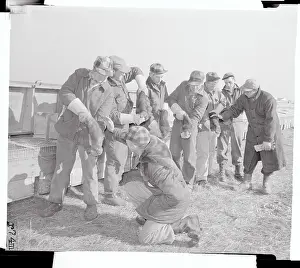 Men Grading the Mink Pelts