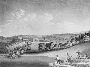Harvest Prints: Men Harvesting Wheat