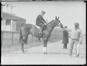Discipline Prints: Men with Horse Lady Rotha