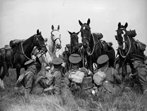 Men And Horses