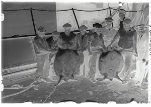 Turtle Prints: Men With Large Turtles
