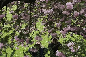 Looking Through An Object Prints: Two men looking through tree blossoms with binoculars