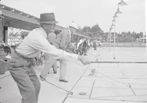 Sarasota Prints: Men Playing Shuffleboard