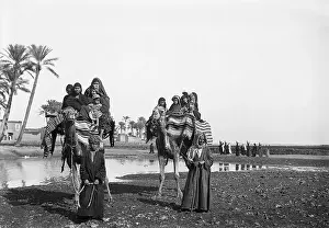 Camel Prints: Men Pulling Camels