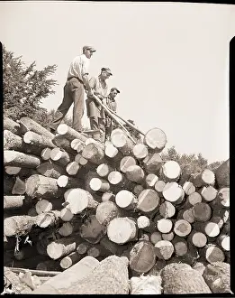 Rolling Prints: Men Rolling Logs Off Pile