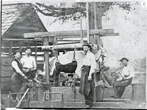 Mule Prints: Men Shoeing a Mule