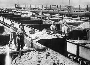 Drying Prints: Men Shoveling Dry Nitrate