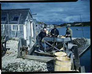 Men Shucking Oysters on Dock