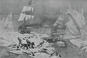 Seal Prints: Men Slaughtering Seals
