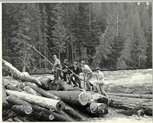 Challenge Prints: Men Stand On Pile Of Logs/Logging