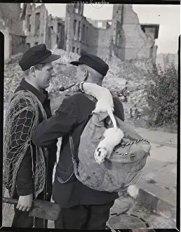Men Use Ferrets To Hunt Rabbits