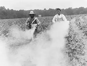 Endurance Prints: Men Using Field Pesticides