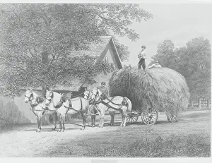 Men Working with Horsedriven Cart of Hay