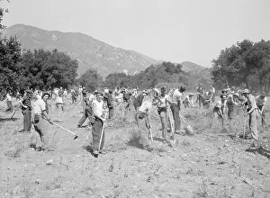 Unemployment Prints: Men Working at Reforestation Camp