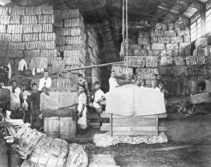 Overworked Prints: Men Working in a Tobacco Warehouse
