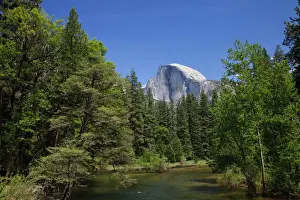Yosemite National Park Prints: Merced River and Half Dome