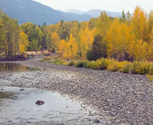 Images Dated 7th October 2015: Methow River in Methow Valley in autumn, Okanogan National Forest, Washington State, USA