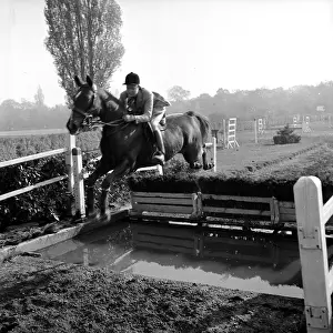 Equestrian Prints: Michele Cancre
