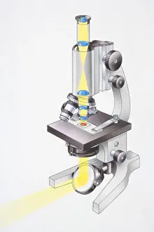 Examination Prints: Microscope, light passing through lenses and focusing on glass slide