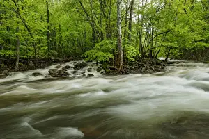 Middle Prong in spring, Great Smoky Mountains National Park, Tennessee, USA