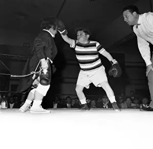 Midget Boxing Match