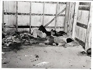 Migrant Prints: Migrant Workers Shown Sleeping on Floor