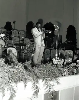 Miles & Lester