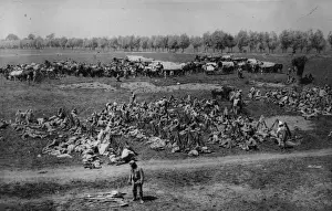 Landscape Male Collection Prints: Military Camp