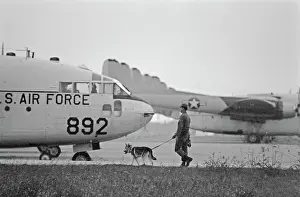 Huty25823 Prints: US Military German Shepherd Sentry Training