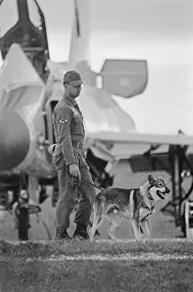 Huty25823 Prints: US Military German Shepherd Sentry Training