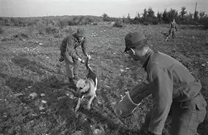 Huty25823 Prints: US Military German Shepherd Sentry Training