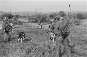 Huty25823 Prints: US Military German Shepherd Sentry Training