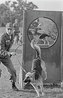 Huty25823 Prints: US Military German Shepherd Sentry Training